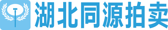 湖北同源拍賣(mài)
