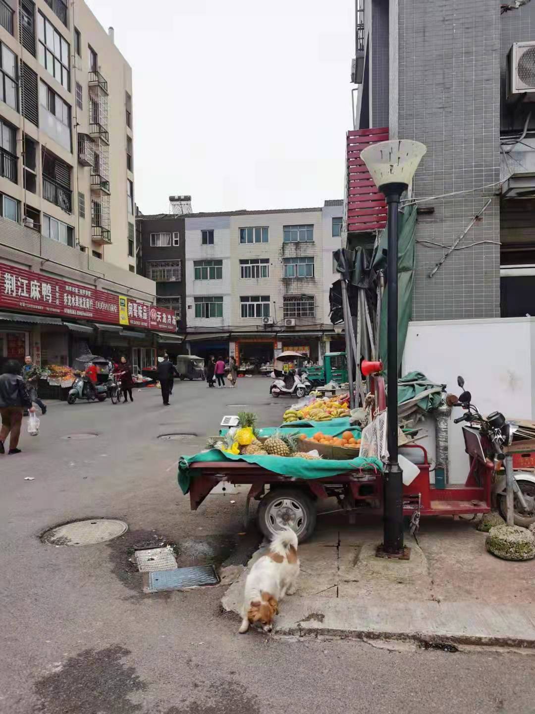 江陵縣“郝穴大市場改造”項(xiàng)目抵稅商品房一批拍賣公告(圖17) 江陵縣“郝穴大市場改造”項(xiàng)目抵稅商品房一批拍賣公告(圖17)