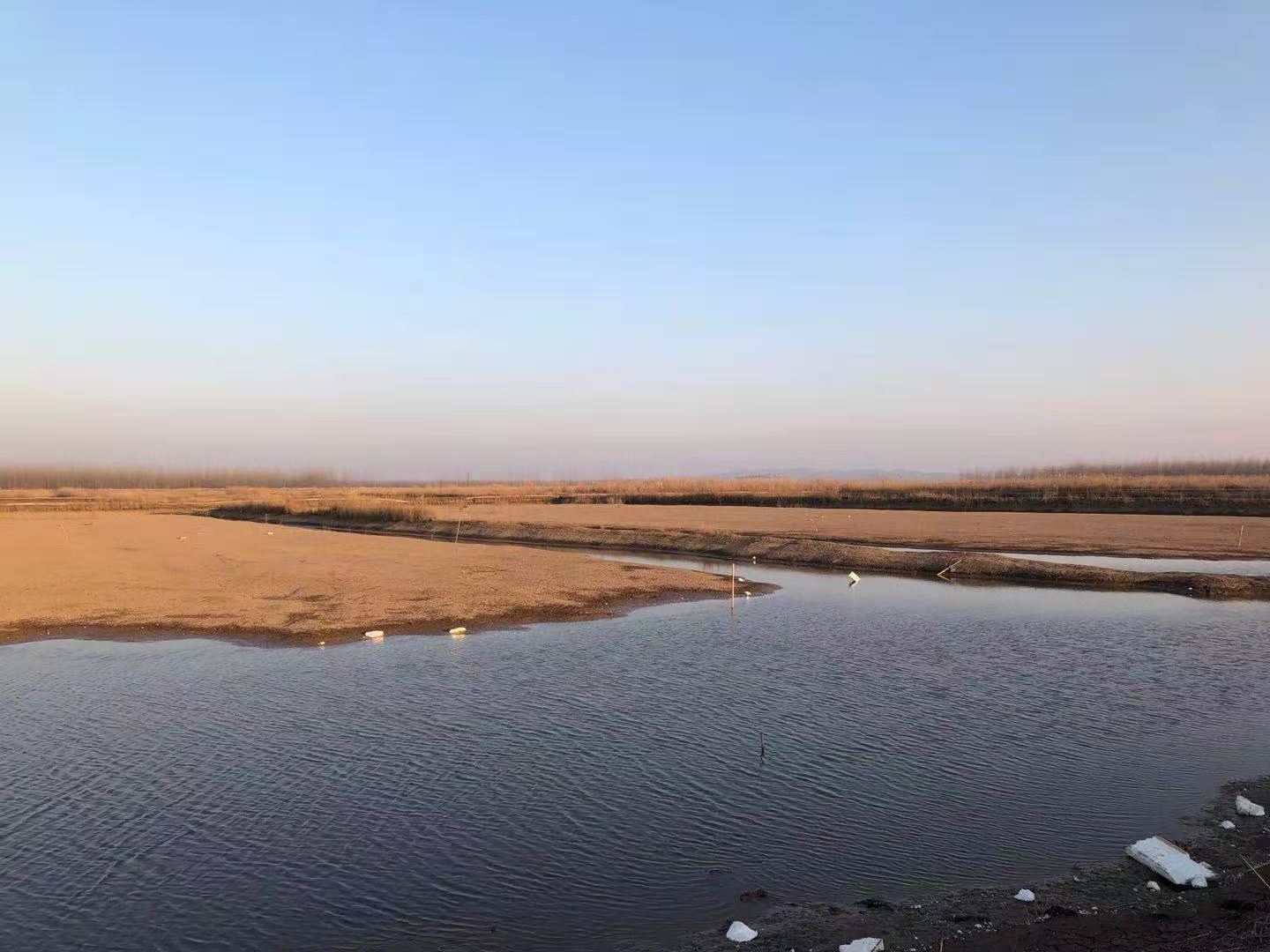 石首市小河口鎮(zhèn)神皇洲低洼地塊漁池約1400畝7年租賃經(jīng)營權(quán)(圖3) 石首市小河口鎮(zhèn)神皇洲低洼地塊漁池約1400畝7年租賃經(jīng)營權(quán)(圖3)