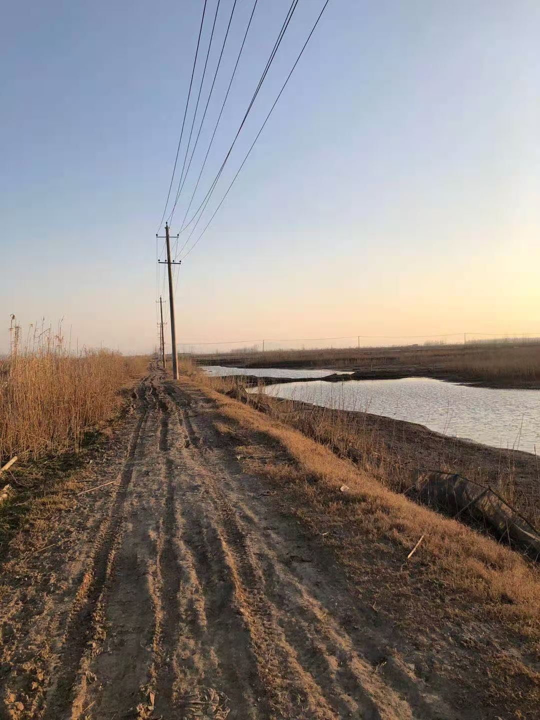 石首市小河口鎮(zhèn)神皇洲低洼地塊漁池約1400畝7年租賃經(jīng)營權(quán)(圖4) 石首市小河口鎮(zhèn)神皇洲低洼地塊漁池約1400畝7年租賃經(jīng)營權(quán)(圖4)