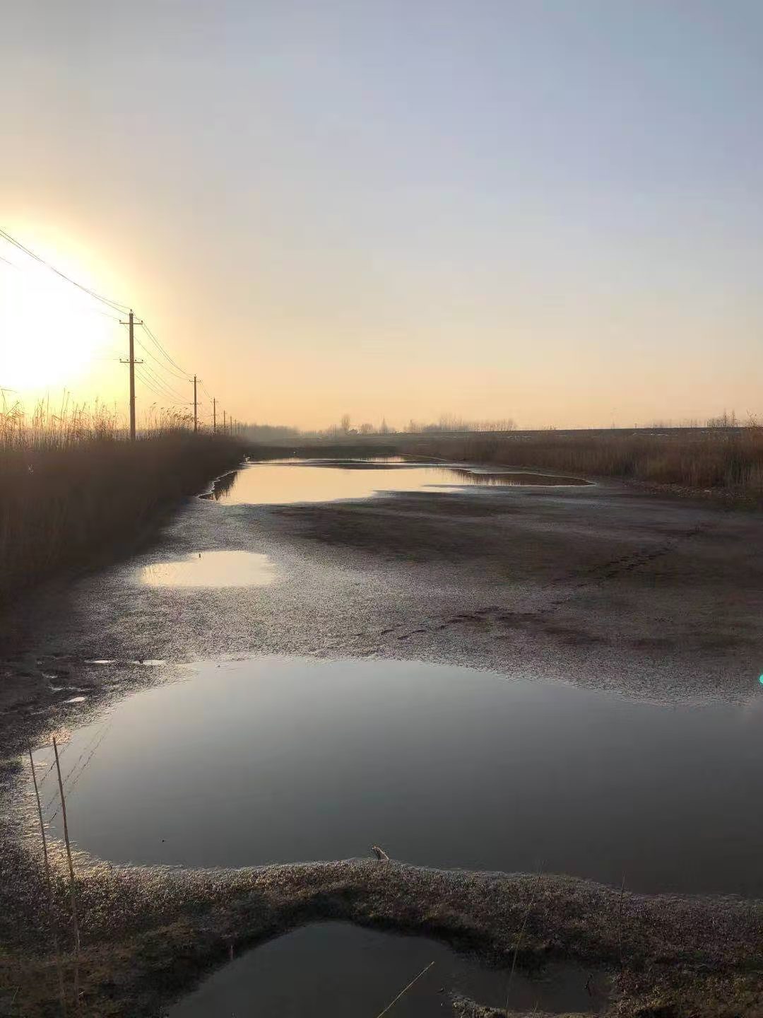石首市小河口鎮(zhèn)神皇洲低洼地塊漁池約1400畝7年租賃經(jīng)營權(quán)(圖7) 石首市小河口鎮(zhèn)神皇洲低洼地塊漁池約1400畝7年租賃經(jīng)營權(quán)(圖7)